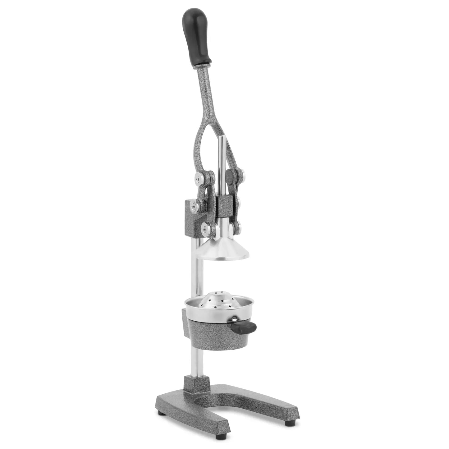 BUZZFRUIT JUICE PRESS