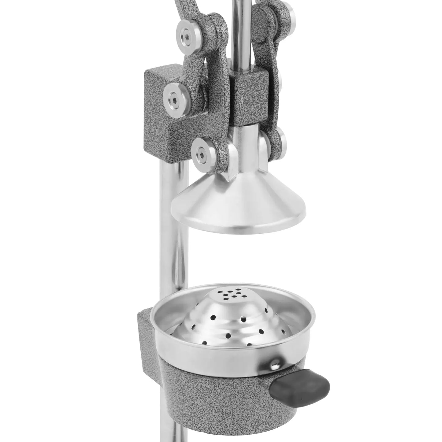 BUZZFRUIT JUICE PRESS