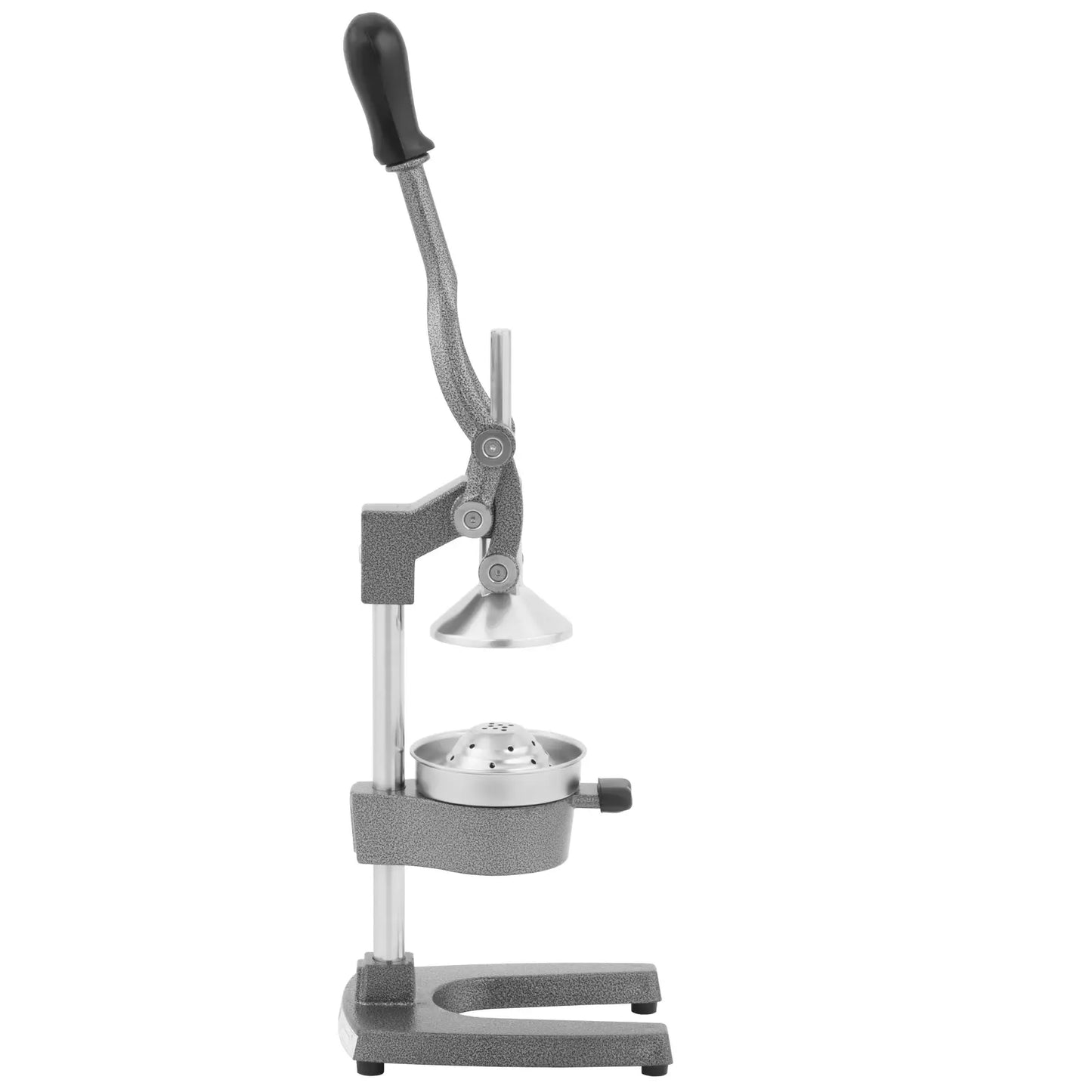 BUZZFRUIT JUICE PRESS